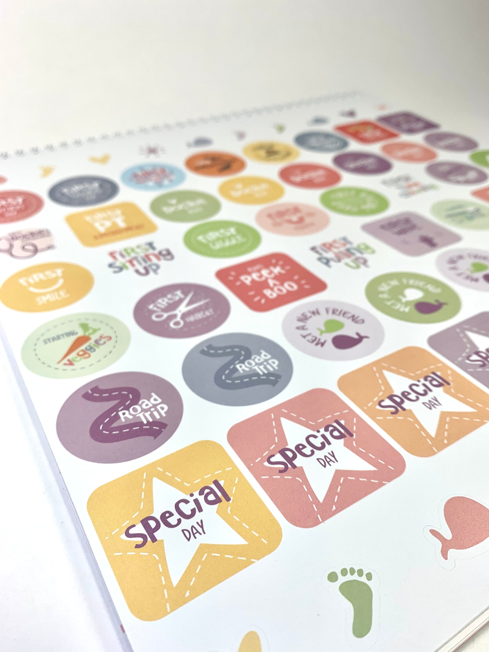 My First Year NICU Calendar - English